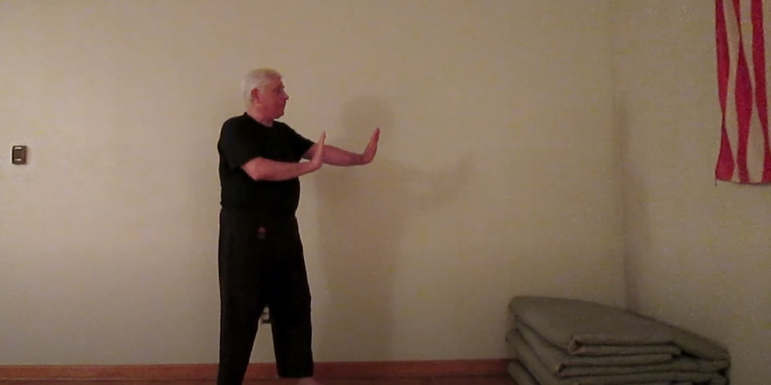 Self Defense Against a Push and Maintaining Distance Self Defense Against a Push and Maintaining Distance