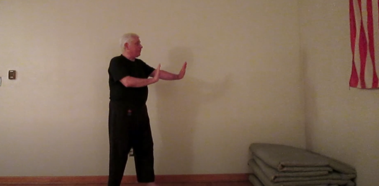 Self Defense Against a Push and Maintaining Distance Self Defense Against a Push and Maintaining Distance